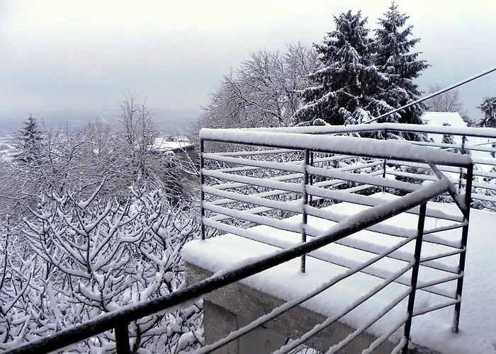 Tulipan Panorama Apartman