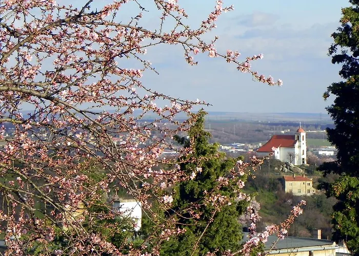 Tulipan Panorama Apartman