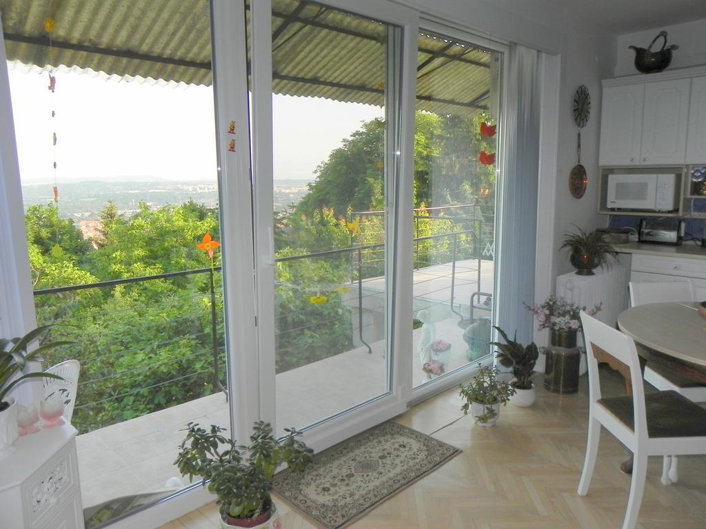 Tulipan Panorama *