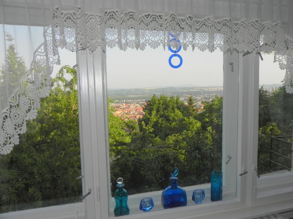 Tulipan Panorama Pécs