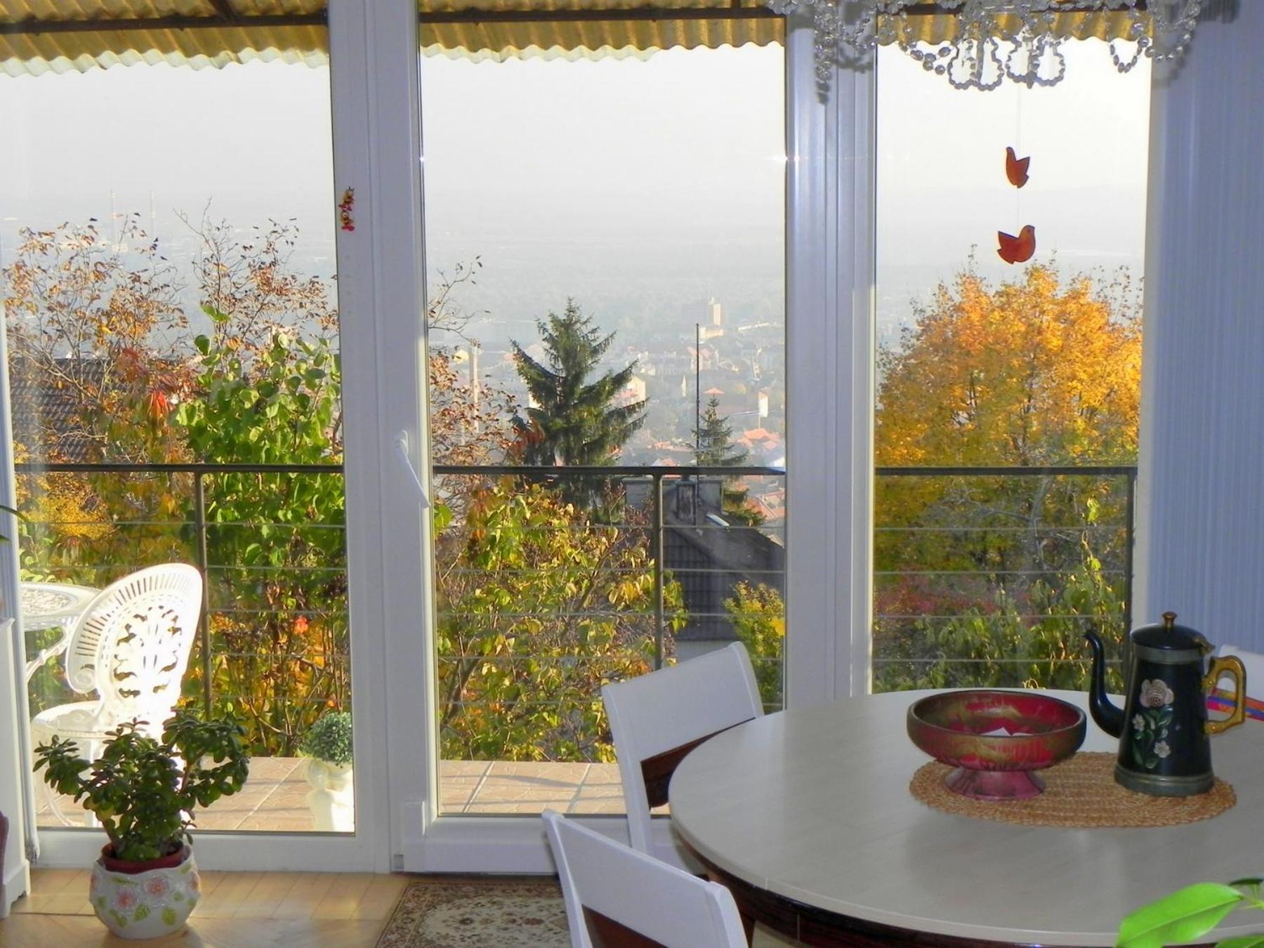 Tulipan Panorama *