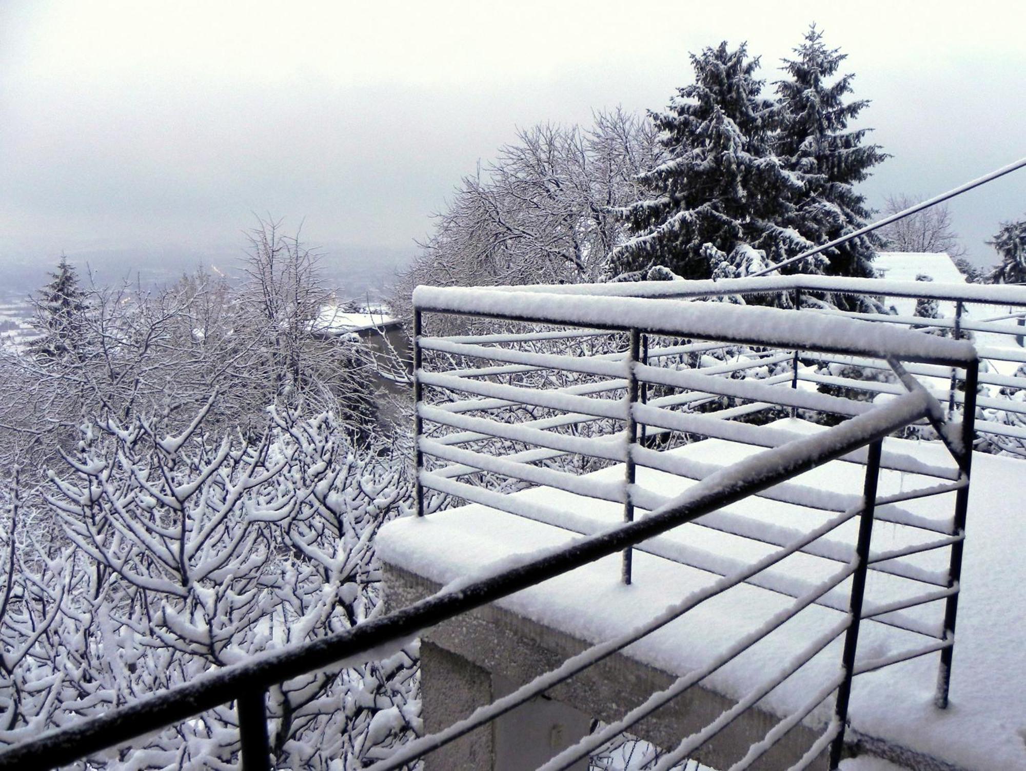 Tulipan Panorama Pécs