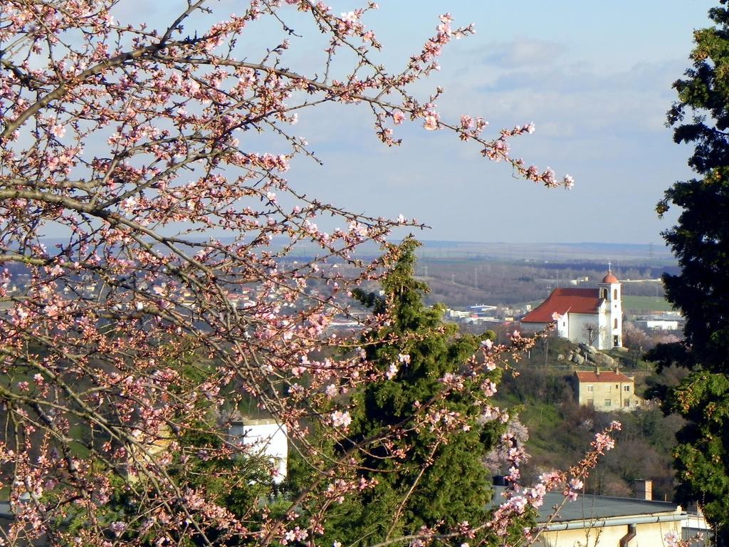 Tulipan Panorama Apartment Pécs